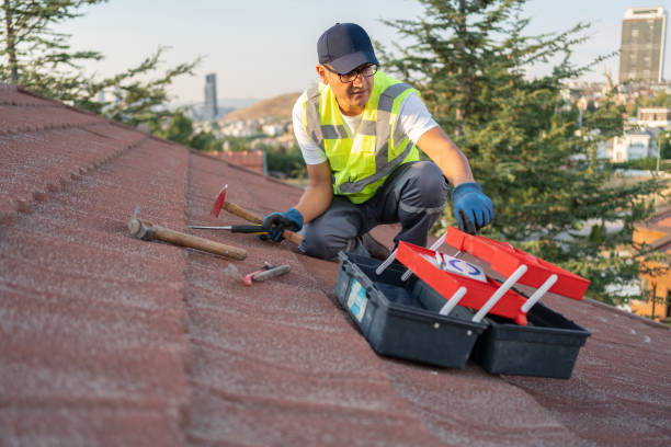 Best Stucco Siding  in Buffalo, NY